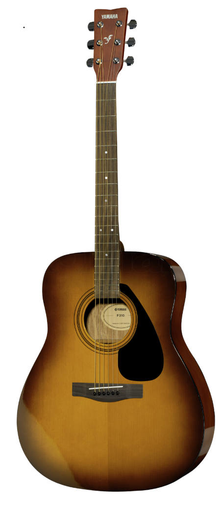 Yamaha F310